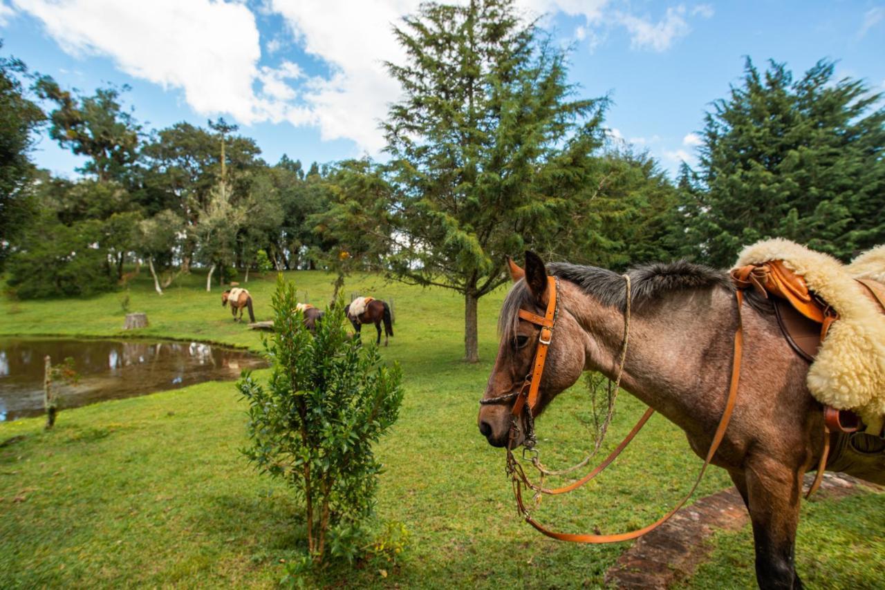 Aires De Patagonia Hotell Cambará Eksteriør bilde